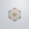 Ekena Millwork Medium Hampton Decorative Fretwork Wood Wall Panels, Birch, 15 3/8"W x 17 3/4"H x 3/8"T WALW16X16X0375HMPBI - alternate 5